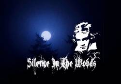 Silence In The Woods : Moonlight Sonata